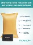 SilkLuxe™ 22Momme 100% Mulberry Silk Pillowcase – Envelope Closure