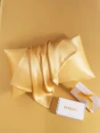 SilkLuxe™ 22Momme 100% Mulberry Silk Pillowcase – Envelope Closure